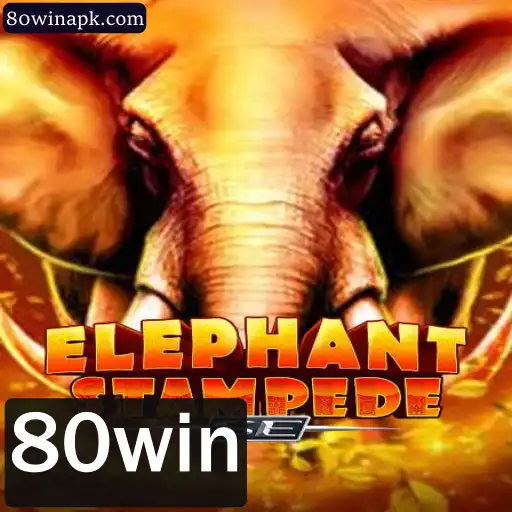 80win Caça-níqueis